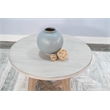 Pemberly Row Solid Wood Contemporary Rustic Round End Table in Light Gray