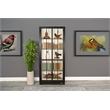 Pemberly Row Contemporary Black Tall Glass Door Accent Cabinet