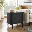 Pemberly Row Set of 2 Contemporary 2-Drawer Nightstands in Black