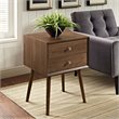 Pemberly Row Set of 2 Modern Wood and Metal Nightstands in Walnut