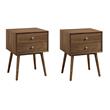 Pemberly Row Set of 2 Modern Wood and Metal Nightstands in Walnut
