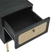 Pemberly Row Set of 2 Modern Particleboard and Rattan Nightstands in Black