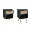 Pemberly Row Set of 2 Modern Particleboard and Rattan Nightstands in Black