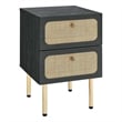 Pemberly Row Set of 2 2-Drawer Particleboard and Rattan Nightstands in Black