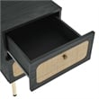 Pemberly Row Set of 2 2-Drawer Particleboard and Rattan Nightstands in Black