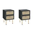 Pemberly Row Set of 2 2-Drawer Particleboard and Rattan Nightstands in Black