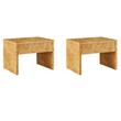 Pemberly Row Set of 2 Contemporary 1-Drawer Wood Nightstands in Brown
