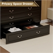 Pemberly Row Queen Wood Murphy Bed whit Chest with Built-in Charger Black