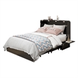 Pemberly Row Queen Wood Murphy Bed whit Chest with Built-in Charger Black