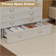 Pemberly Row Queen Wood Murphy Bed whit Chest with Built-in Charger white