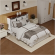 Pemberly Row Queen Wood Murphy Bed whit Chest with Built-in Charger white