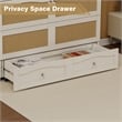 Pemberly Row Wood Queen Cabinet Bed with Storage Drawers for Guest Room White