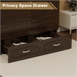 Pemberly Row Black Walnut Queen Murphy Bed with Drawers Mobile Cabinet Chest