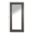 Pemberly Row Modern Transitional Wood Floor Mirror in Gray Finish