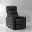 Pemberly Row Contemporary Black Swivel Glider Recliner Two Pack