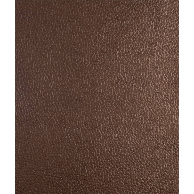 Pemberly Row Contemporary Leather Autumn Umber Power Recliner
