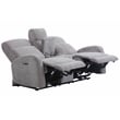 Pemberly Row Whiskers Nature Power Reclining Sofa Loveseat and Recliner