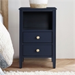 Pemberly Row 2-drawer Midnight Blue Painted Storage Nightstand