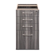 Pemberly Row Contemporary 4 Drawer File Cabinet in Gray Steel