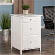 Pemberly Row 3-Drawer Transitional Wooden File Cabinet in White