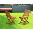 Pemberly Row Wood Patio Dining Chairs in Natural Oil (Set of 2)