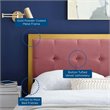 Pemberly Row Tufted King Performance Velvet Headboard in Gold/Dusty Rose