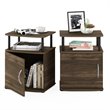 Pemberly Row Engineered Wood End Table in Columbia Walnut/Black (Set of 2)