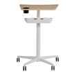 Pemberly Row Pneumatic Height-Adjustable Stand-Up Mobile Workstation