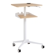 Pemberly Row Pneumatic Height-Adjustable Stand-Up Mobile Workstation