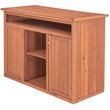 Pemberly Row Wood Short Display and Hideaway Storage Cabinet in Medium Brown