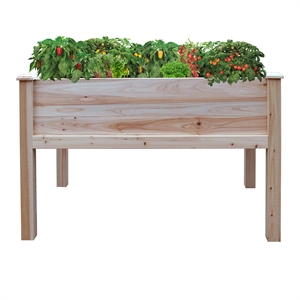 Pemberly Row Modern / Contemporary 48&quot x 30&quot Cedar Raised Garden Bed