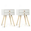 Pemberly Row MDF and Wood Nightstands with 2 Drawers in White (Set of 2)