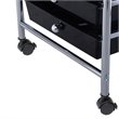 Pemberly Row Metal Scrapbook Paper Rolling Storage Cart with 10 Drawer in Black