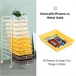 Pemberly Row Scrapbook Paper Rolling Storage Cart with 10 Drawer in Multi-Color