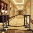 Pemberly Row Contemporary Stainless Steel Queue Pole in Black (Set of 6)