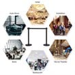 Pemberly Row Contemporary Stainless Steel Queue Pole in Black (Set of 6)