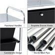 Pemberly Row 4-drawer PP and Steel Rolling Storage Cart in Black/Silver