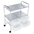 Pemberly Row 4-drawer PP and Steel Rolling Storage Cart in White/Black