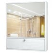 Pemberly Row Wood Wall Mount Bathroom Cabinet with 2 Mirrors in White