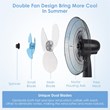 Pemberly Row 16'' Plastic and Iron Adjustable Oscillating Pedestal Fan in Black