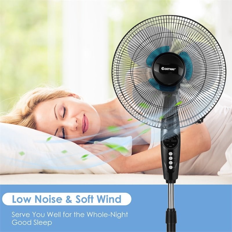 Pemberly Row 16'' Plastic and Iron Adjustable Oscillating Pedestal Fan in Black
