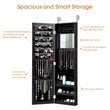 Pemberly Row MDF Board Wall/Door Mounted Mirrored Jewelry Cabinet in Black