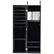 Pemberly Row MDF Board Wall/Door Mounted Mirrored Jewelry Cabinet in Black