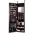 Pemberly Row MDF Board Wall/Door Mounted Mirrored Jewelry Cabinet in Brown