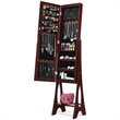 Pemberly Row MDF Board Bevel Edge Mirrored Standing LED Jewelry Cabinet in Brown