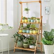 Pemberly Row 3-tier Bamboo Hanging Folding Plant Shelf Stand in Natural