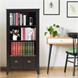 Pemberly Row 3-Shelf MDF Adjustable Bookcase with 2 Drawers in Black