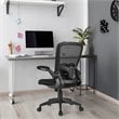 Pemberly Row Plastic and Sponge Mesh Office Chair with Lumbar Support in Black