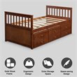 Pemberly Row Pine Wood Twin Captain's Bunk Bed with Trundle & Drawers in Walnut