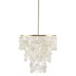 Pemberly Row Transitional Metal and Shells Capiz Chandelier in Gold/White